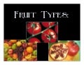 A Look at Fruit Types