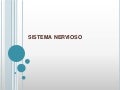 sistema nervioso