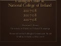 Fulbright Chair at National College of Ireland, 2007-08