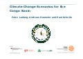Climate Change Scenarios for the Congo Basin