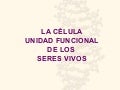 Funciones de la Célula Eucariota
