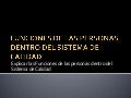 Funciones de las personas dentro del sistema de calidad.. continua2