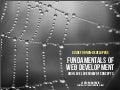 Fundamentals of Web Development For Non-Developers