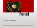 Fungi report