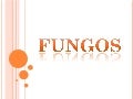 Fungos