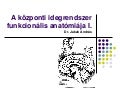 Központi idegrendszer anatómiája OLKD-soknak, 2012