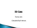 Funny Cats