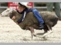 Funny Photos