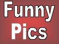 Funny Pics