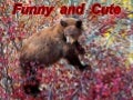 Funny and cute