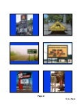 Funny Signs