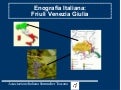 Friuli Venezia Giulia Sommelier AIS