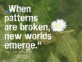 When patterns are broken_tiny13_01