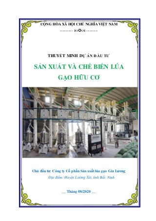 Cách Nấu Canh Kim Chi Experiment: Good Or Bad?