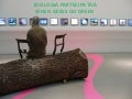 Ecologia Partecipativa: When Geeks go Green