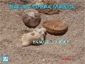 Galicia terra magica karola do mar (nx power-lite)