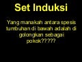 ALN 103-Tanaman Hiasan (Def:pokok)