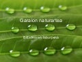 Garaion huhezi   aurkezpena