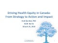 Gardner wzb health equity strategy into action