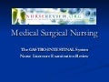 NurseReview.Org Gastrointestinal System