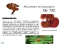 Ge 132