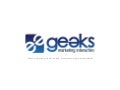 Geeks Papervision3 D