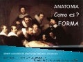 Generalidades de anatomía