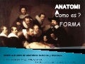 Gen anatomía