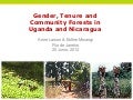  Gender, tenure and community forests in Uganda and Nicaragua 