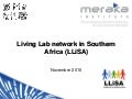 Generic l li_sa_presentation-oct2010_herselman