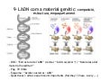 Genetica Molecular
