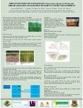 Genetic diversity of Napier Grass (Pennisetum purpureum Schumacher) germplasm based on amplified fragment length polymorphism
