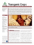 Transgenic Crops