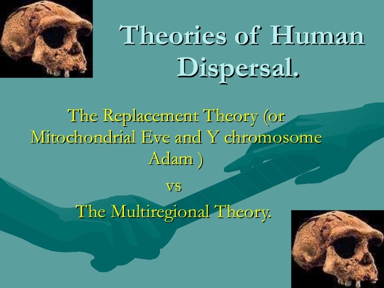 Out of africa theory essay image