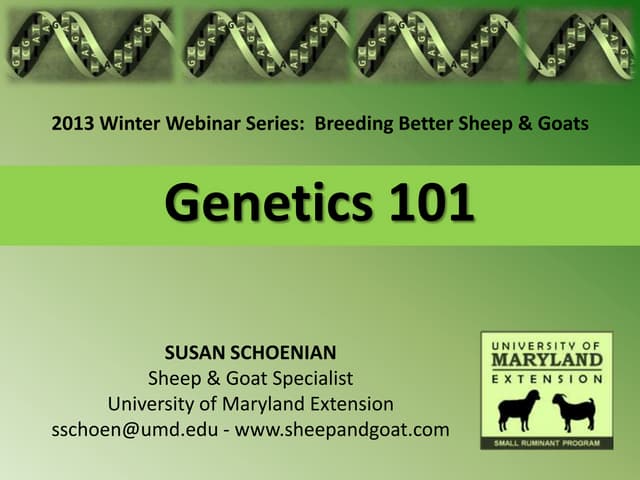Genetics 101