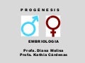 Genitales progénesis