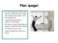 Genomgång speglar