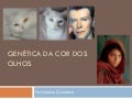 GenéTica Da Cor Dos Olhos 1