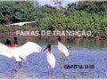 Faixas de Transicao 