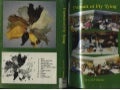 Pursuit Of Fly Tying [Fly Fishing, Flytying]