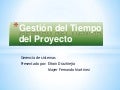 Gestión del tiempo del proyecto