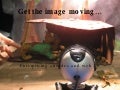Get The Image Moving