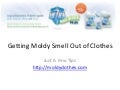 Getting Moldy Smell Out of Clothes
