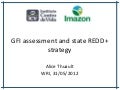 GFI Brazil: Assessment and State REDD+ Strategy