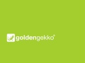 GG General Presentation 120209