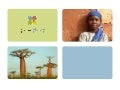 GlobalGiving - case study - presented at Skoll ISIRC