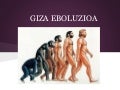 Giza eboluzioa