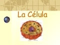la celula...!