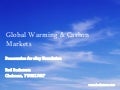 Global Warming and Carbon Markets for eBay Foundation