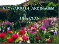 Glossário de jardinagem    plantas - árvores